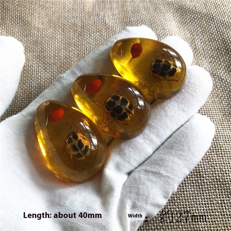 Blind box synthetic resin amber insect specimen with assorted insect designs - Product view 24