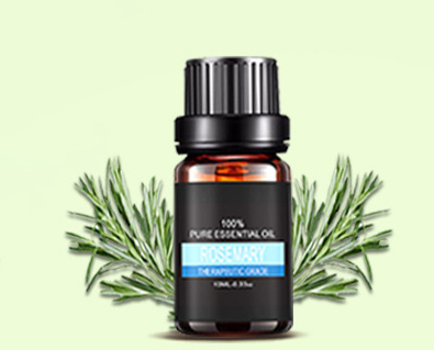 10 ml aromatherapy essential oil bottles and multi-piece set - Rosemary oil 10ml