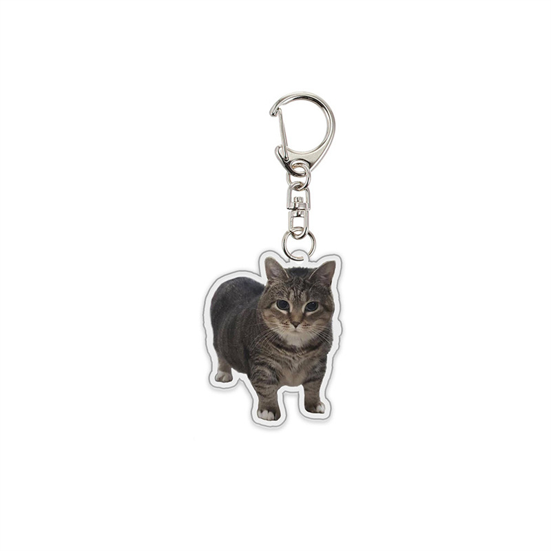 Cartoon acrylic keychain in a selected standard style - Product view 8