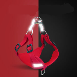 Reflective LED no-pull dog harness and leash set - Main product view