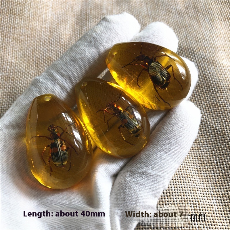 Blind box synthetic resin amber insect specimen with assorted insect designs - Product view 19