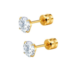Stainless Steel Four-claw Round Double Zircon Stud Earrings - Main product view