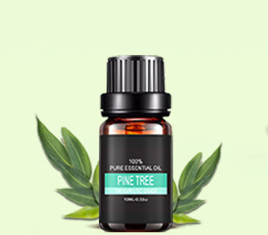 10 ml aromatherapy essential oil bottles and multi-piece set - Pine oil 10ml