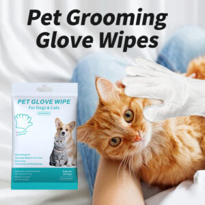 Cat cleaning supplies with disposable gloves, pet wipes and foot cleaning foam - Main product view