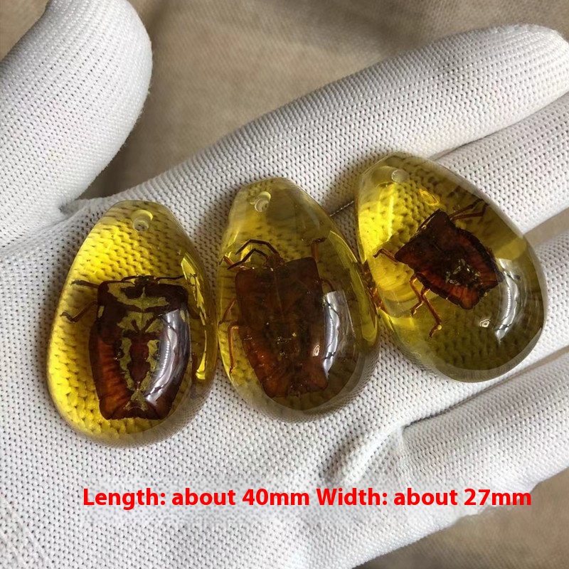 Blind box synthetic resin amber insect specimen with assorted insect designs - Product view 4