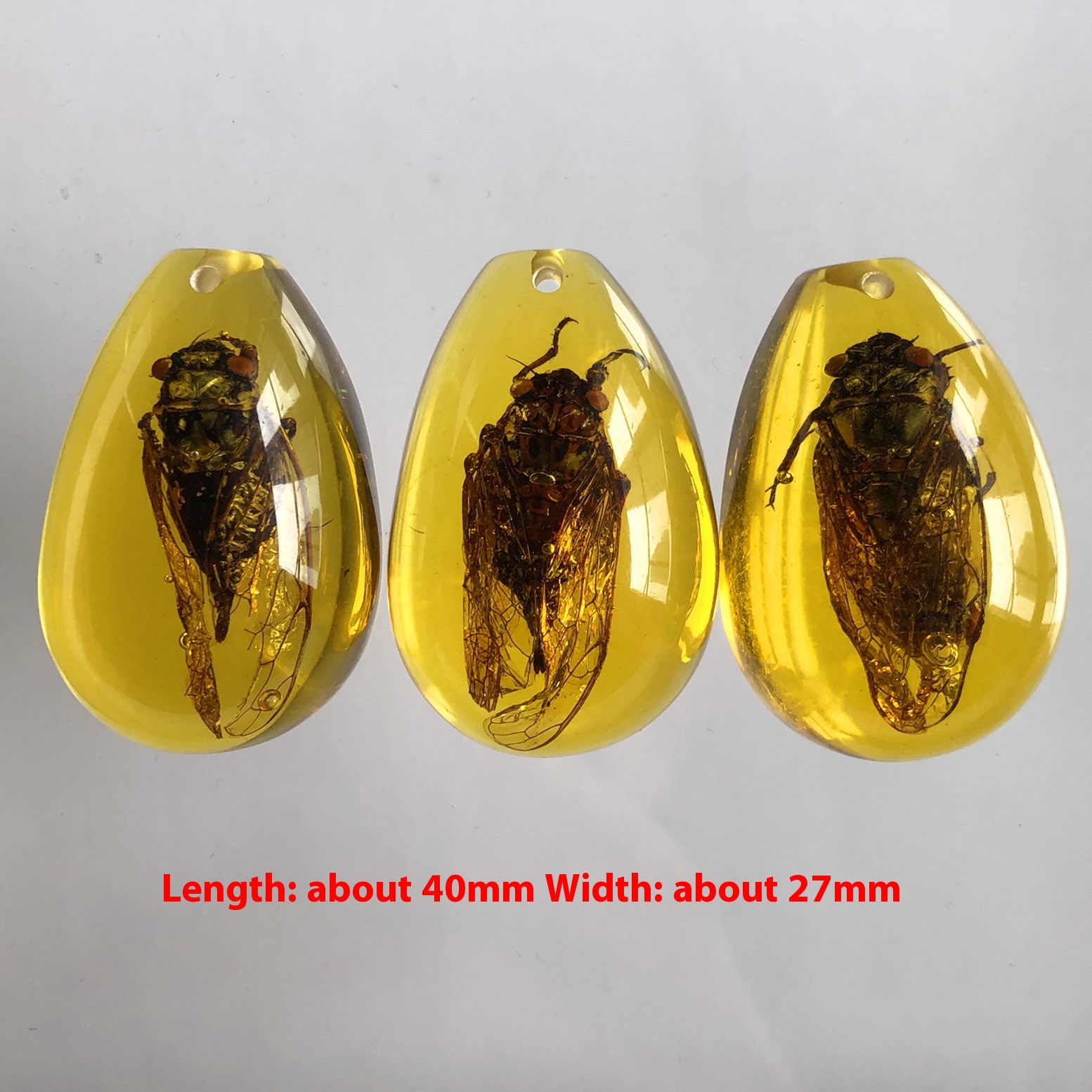 Blind box synthetic resin amber insect specimen with assorted insect designs - Product view 2