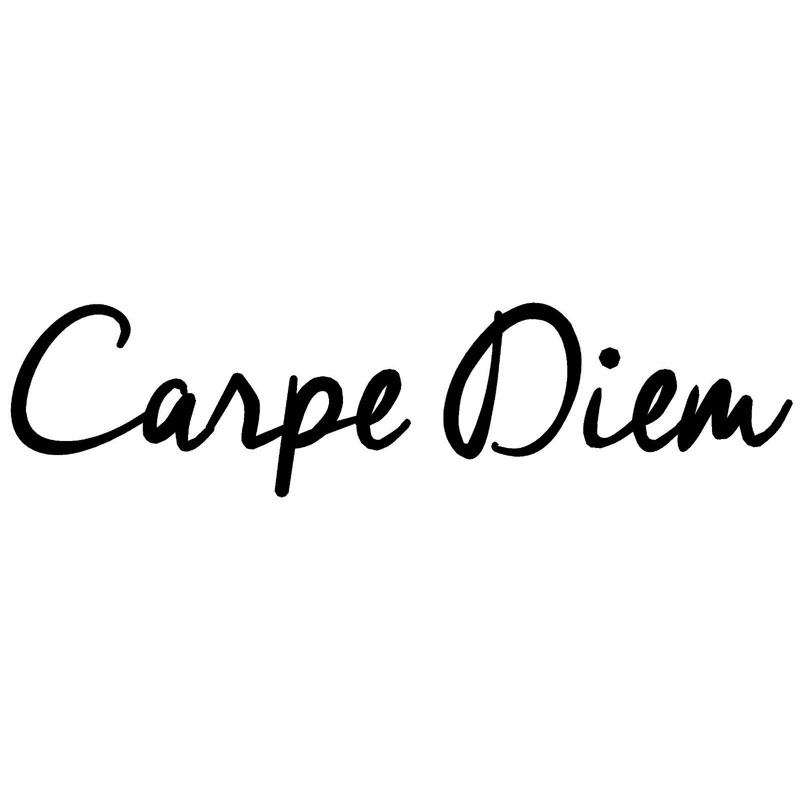 Carpe Diem text car sticker in black or white - Product view 3