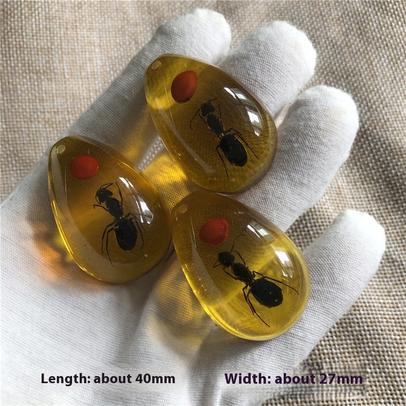 Blind box synthetic resin amber insect specimen with assorted insect designs - Product view 15