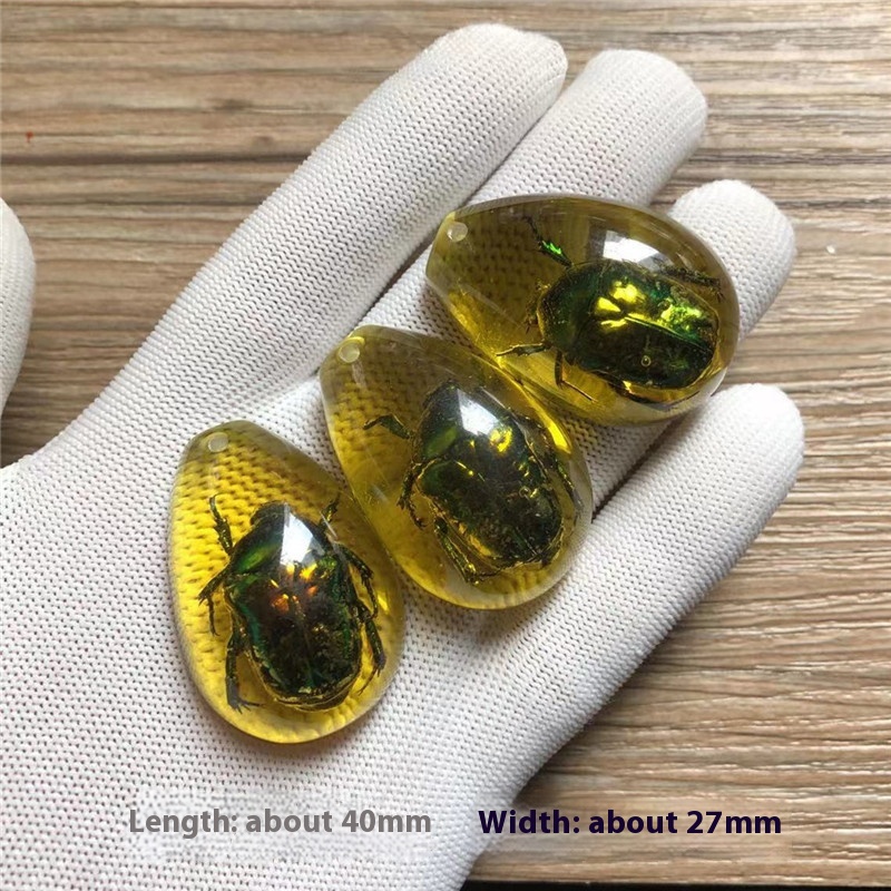 Blind box synthetic resin amber insect specimen with assorted insect designs - Product view 29