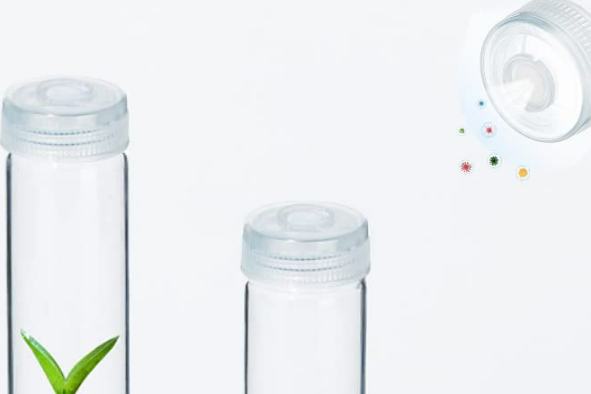 Transparent borosilicate glass plant culture tube with breathable PP cap - Main product view
