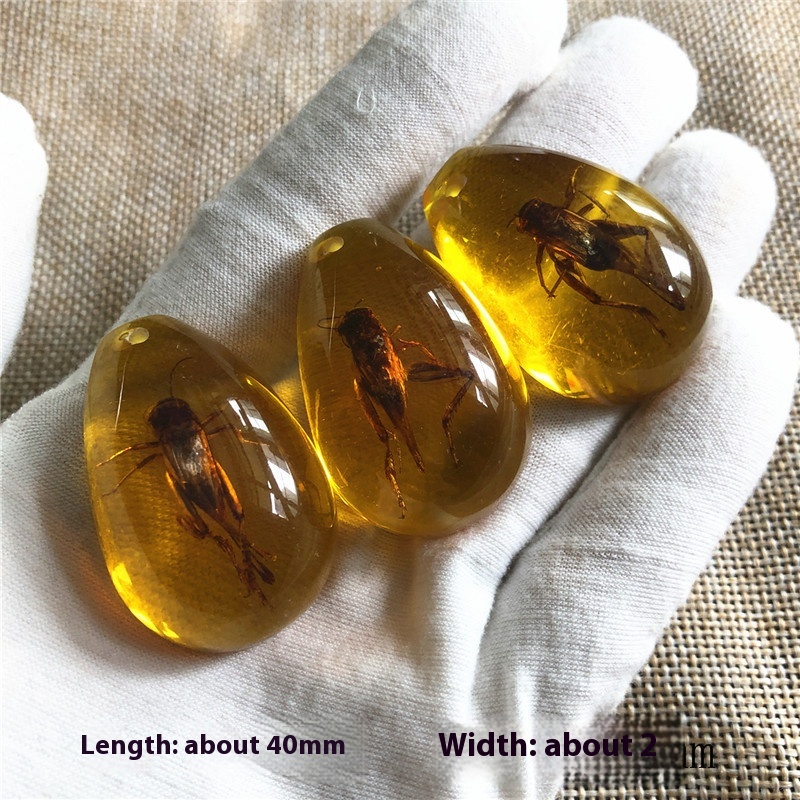 Blind box synthetic resin amber insect specimen with assorted insect designs - Product view 6