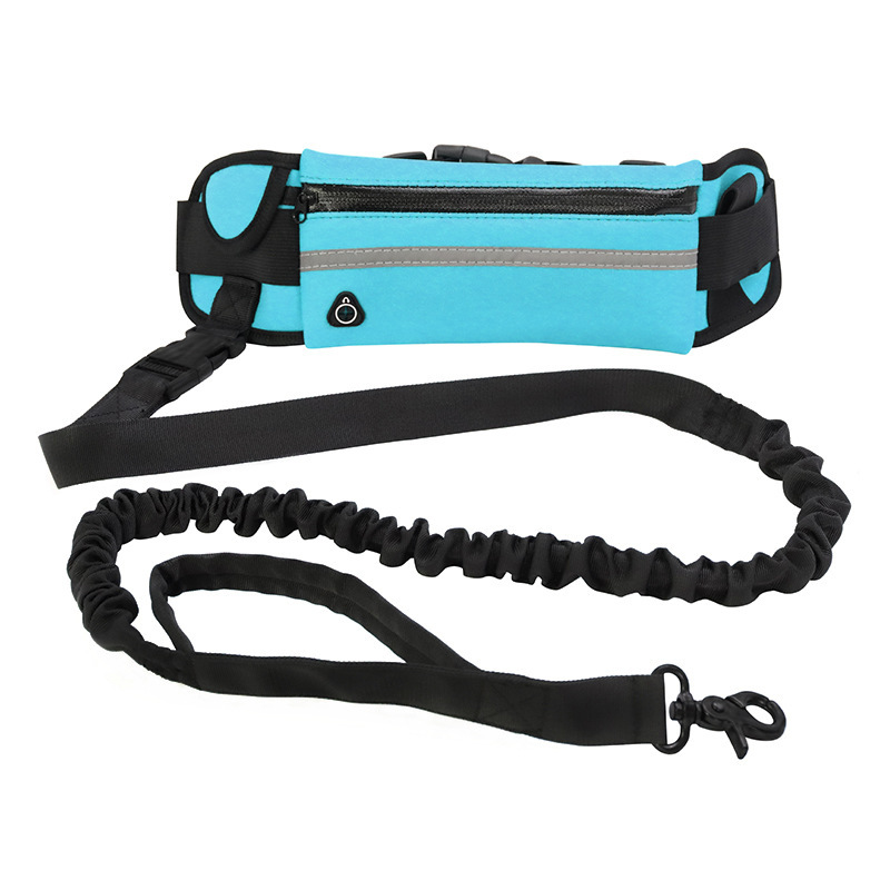 Hands-free dog leash waist belt with bungee leash, phone pocket, treat pouch, and water bottle holder - Product view 6