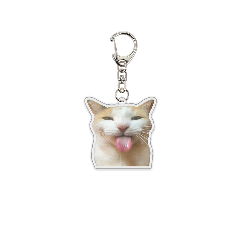 Cartoon acrylic keychain in a selected standard style - Product view 3
