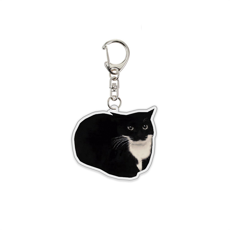 Cartoon acrylic keychain in a selected standard style - Product view 9