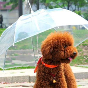 Pet Supplies
